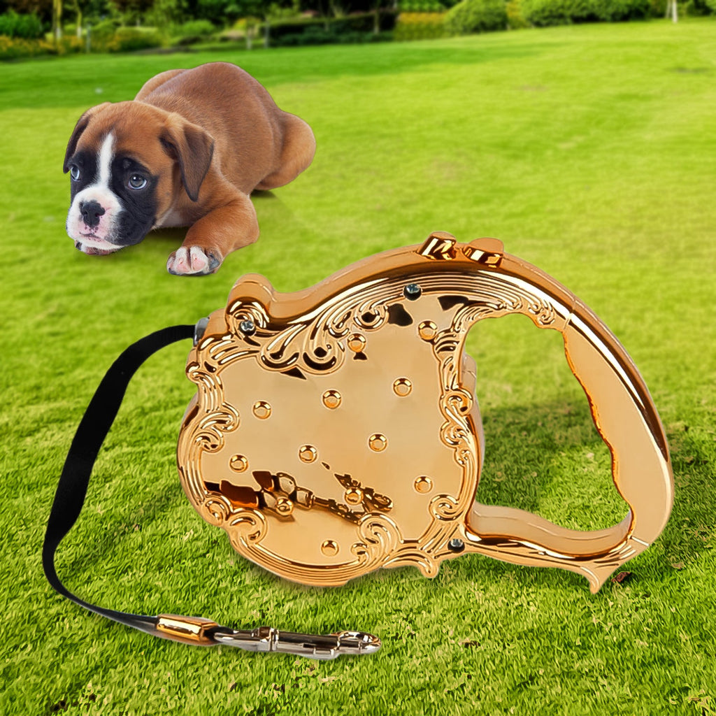 Range leash one-button brake and lock