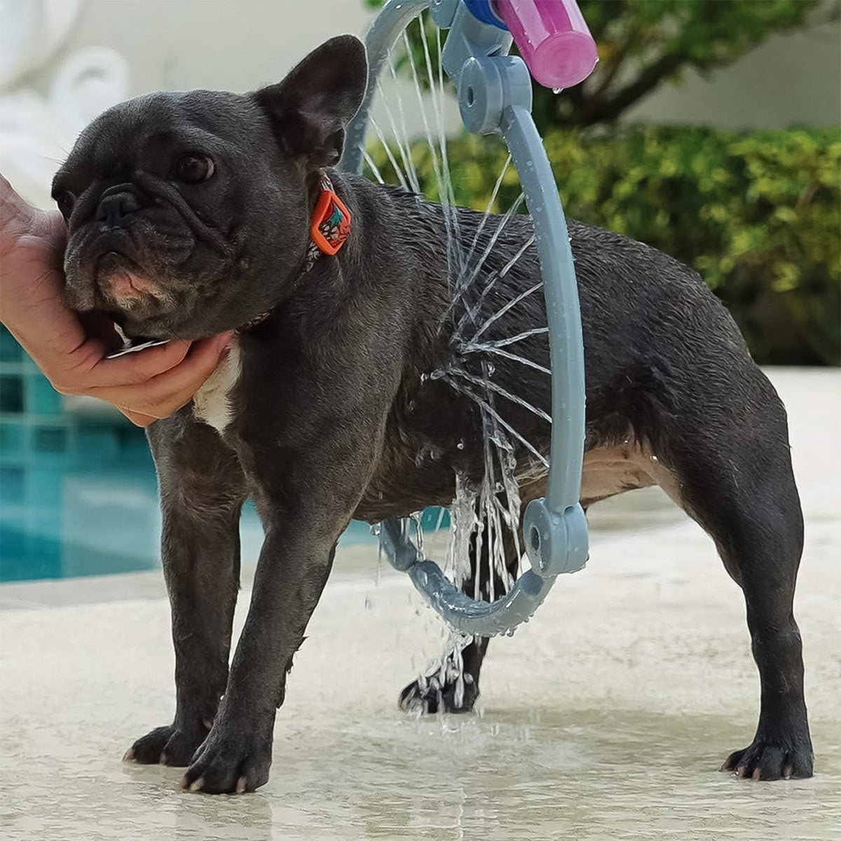 Rinse pet sprayer soap mixing chamber detail